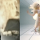 Image for article titled Lady Gaga, Beyoncé and the Coup d’Pop: A Diva Revolution